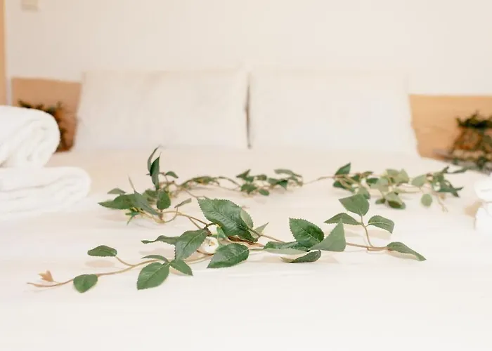 Hébergement de vacances Casa Do Sol , *